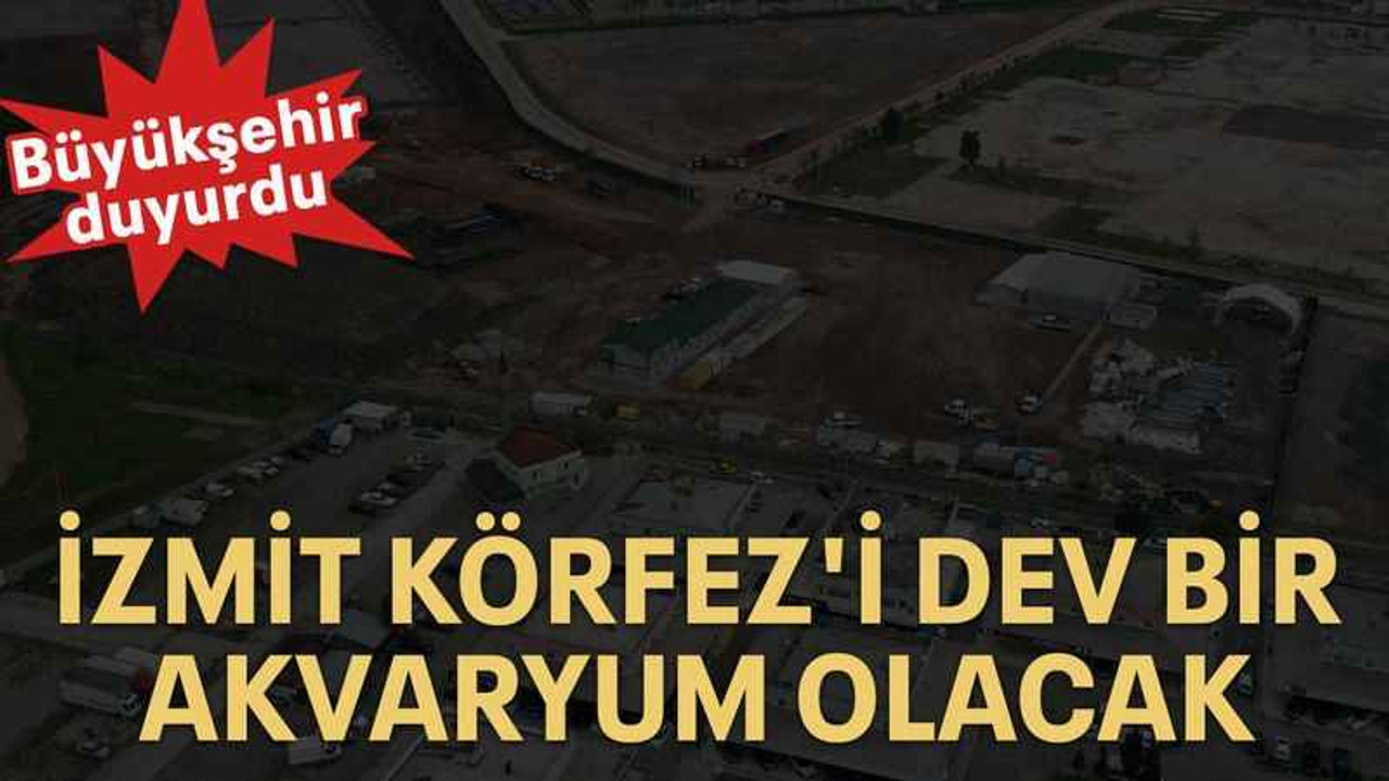 İzmit Körfez'i dev bir akvaryum olacak